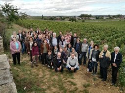 2017 Dijon #4